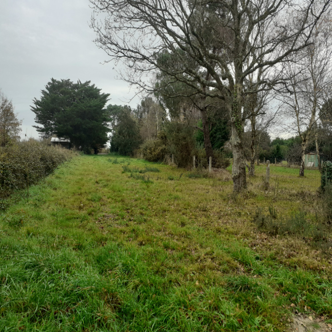 Offres de vente Terrain bourgneuf en retz (44580)