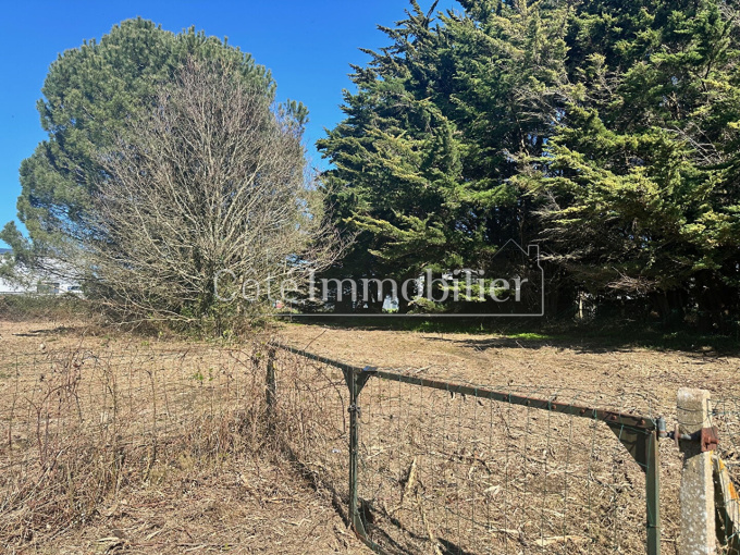 Offres de vente Terrain Bourgneuf-en-Retz (44580)