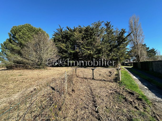 Offres de vente Terrain Bourgneuf-en-Retz (44580)
