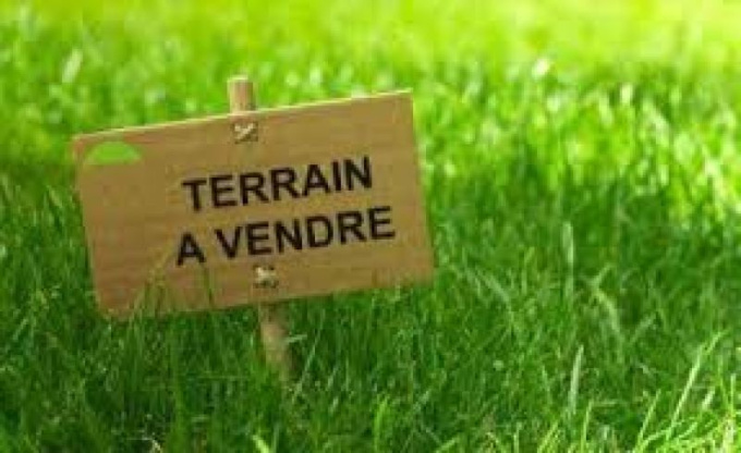 Offres de vente Terrain Port-Saint-Père (44710)