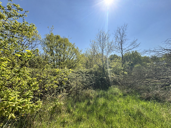 Offres de vente Terrain Basse-Goulaine (44115)