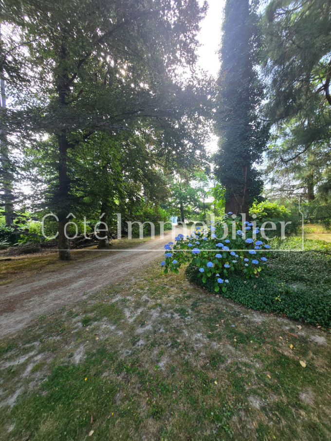 Offres de vente Maison Haute-Goulaine (44115)